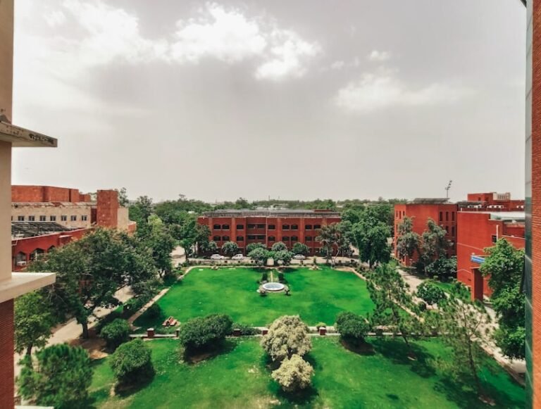 Delhi University Colleges Accepting CUET UG Scores – Complete List 2025