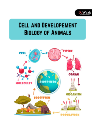 Cell and Developement Biology of Animals