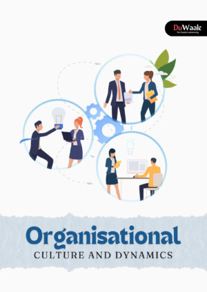 Organisational Culture and Dynamics (DSE)
